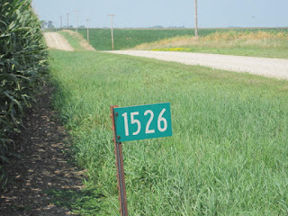 Green number sign by rural dirt road.