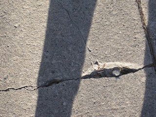 Cracked concrete surface with shadows and grass.