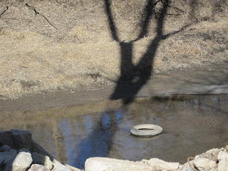 Tire in shallow water with tree shadow.