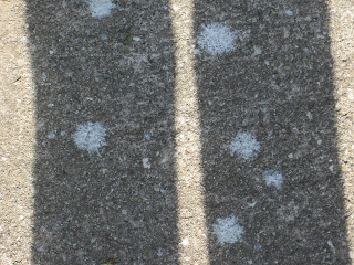 Shadows on pavement with white spots.