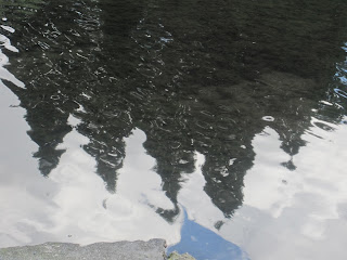 Reflection of trees in rippling water surface.