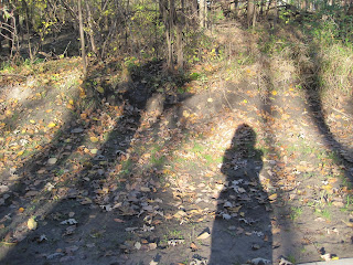 Shadow of person on leafy ground.