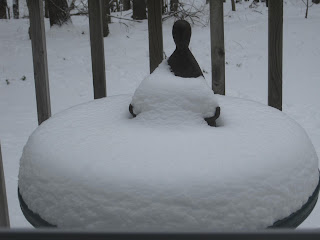 Snow-covered birdbath on a wooden deck.