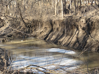 Calm river flowing through a forested area.