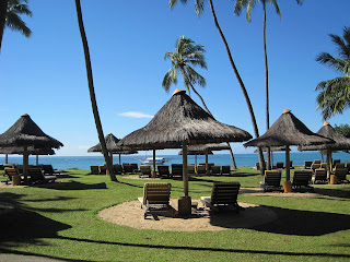 Beach umbrellas and chairs under palm trees.