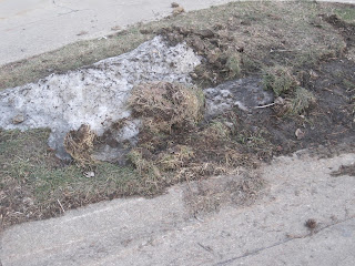 Melting snow on grass and pavement.