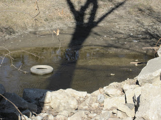 Tire in muddy water with tree shadow.