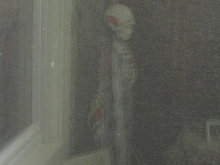 Ghostly figure behind a window screen.