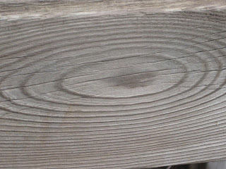 Close-up of wood grain texture pattern.