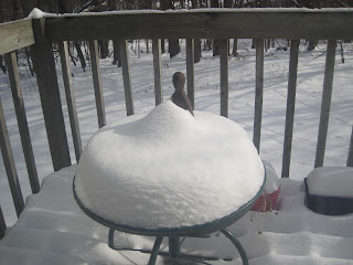 Snow-covered patio table with bird statue.