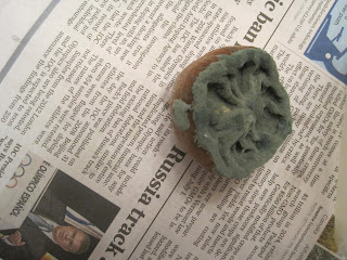 Moldy bread roll on newspaper page.