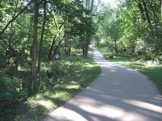 Sunlit forest path with lush green trees.