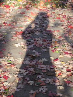 Shadow on ground with autumn leaves.