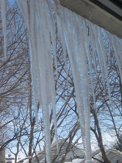 Icicles hanging from roof in winter.