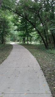 Forest trail with trees and greenery.