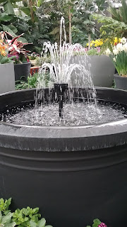 Garden fountain surrounded by lush plants.